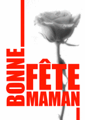 &Eacute;l&eacute;gance florale pour une belle maman